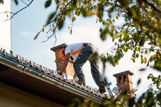 Best Green or Eco-Friendly Roofing Solutions  in Bemiss, GA